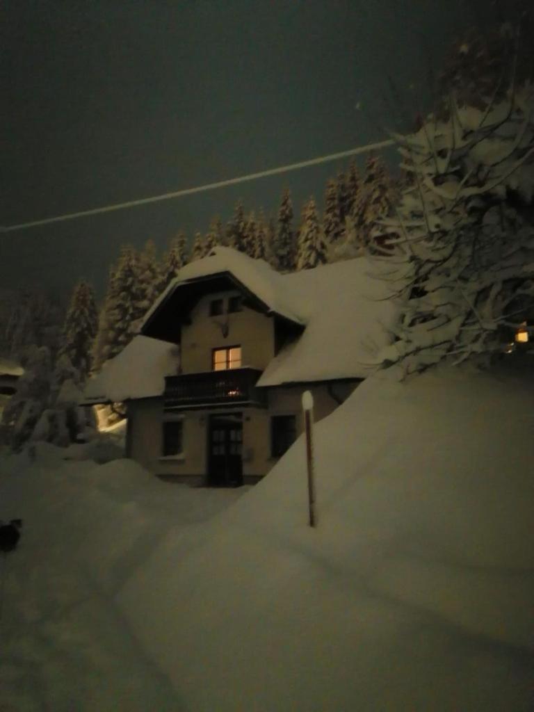 Apartman Irvin Kranjska Gora Dış mekan fotoğraf