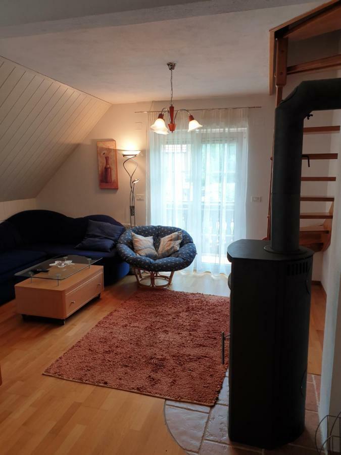 Apartman Irvin Kranjska Gora Dış mekan fotoğraf