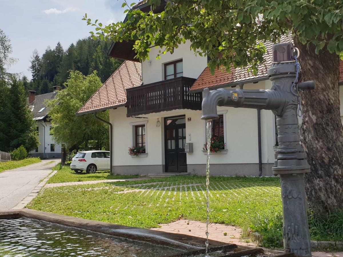 Apartman Irvin Kranjska Gora Dış mekan fotoğraf